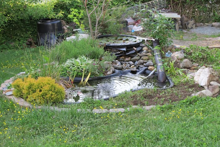 Taman Minimalis dengan Kolam Ikan